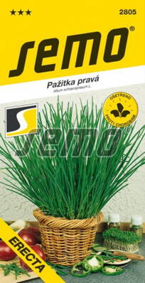 Pažitka SM ERECTA        2805