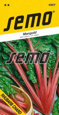 Mangold SM RHUBARB CHARD 4907